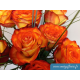 Bouquet « Éclat d’Automne »