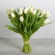 Tulipes hollandaises