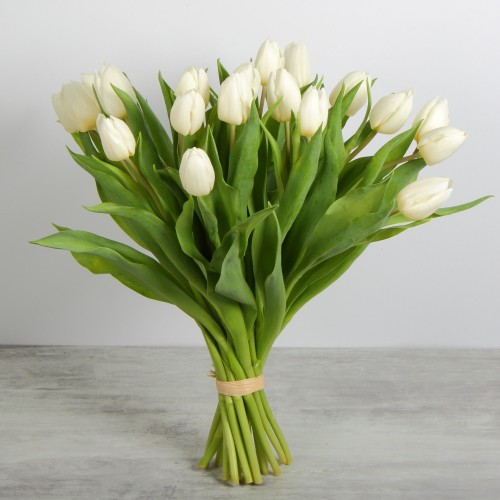 Tulipes hollandaises