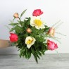 Pivoine