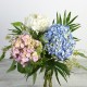 PROMO Hortensia