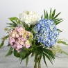 PROMO Hortensia