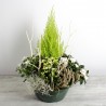 Coupe de plantes blanches